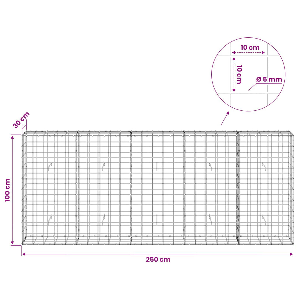 vidaXL Gabion z drutem 5 mm i siatką 10x10 cm 250x30x100 cm