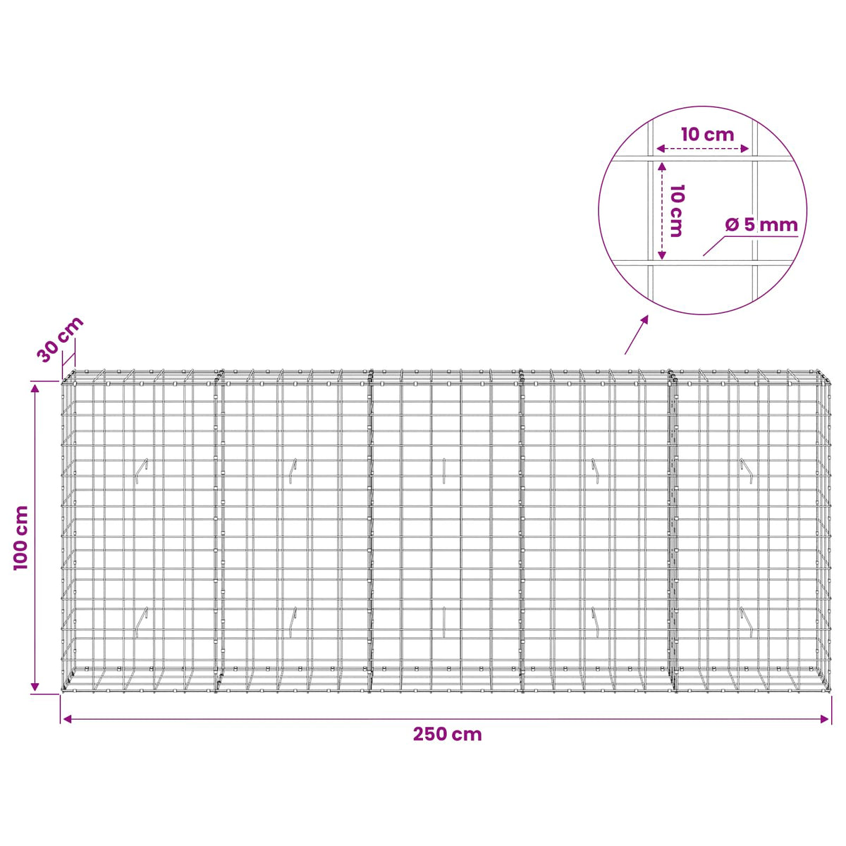 vidaXL Gabion z drutem 5 mm i siatką 10x10 cm 250x30x100 cm