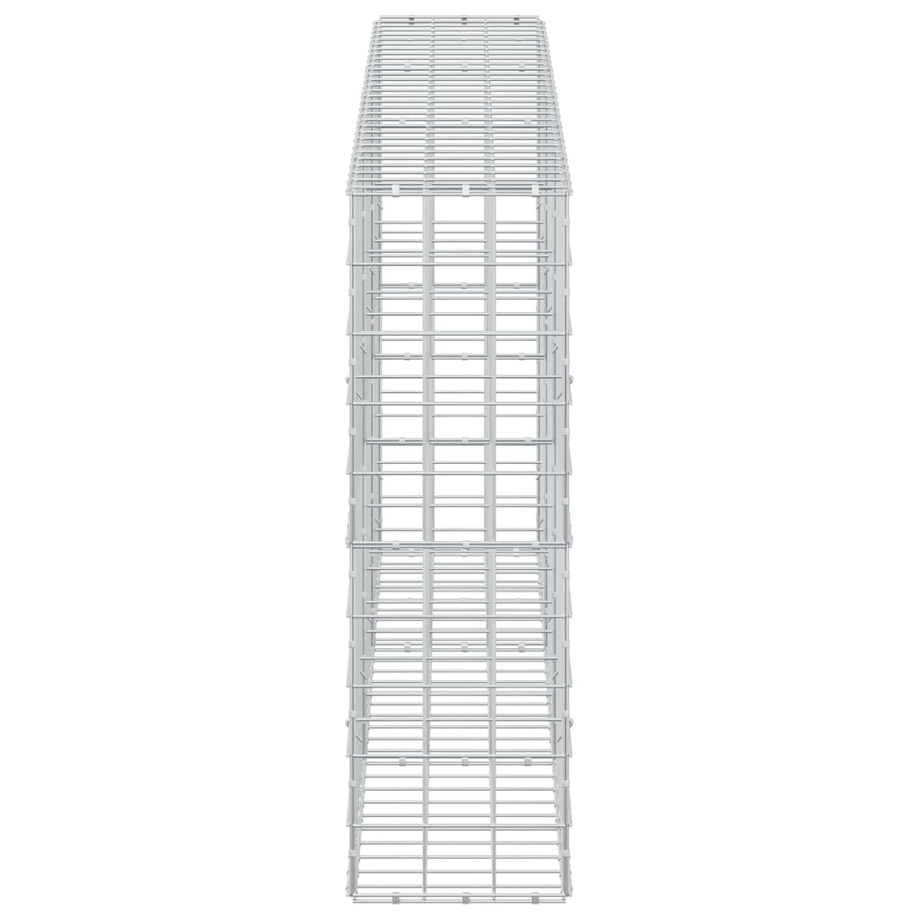 vidaXL Gabion z drutem 5 mm i siatką 10x10 cm 300x30x100 cm