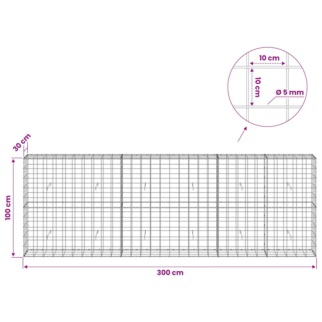vidaXL Gabion z drutem 5 mm i siatką 10x10 cm 300x30x100 cm