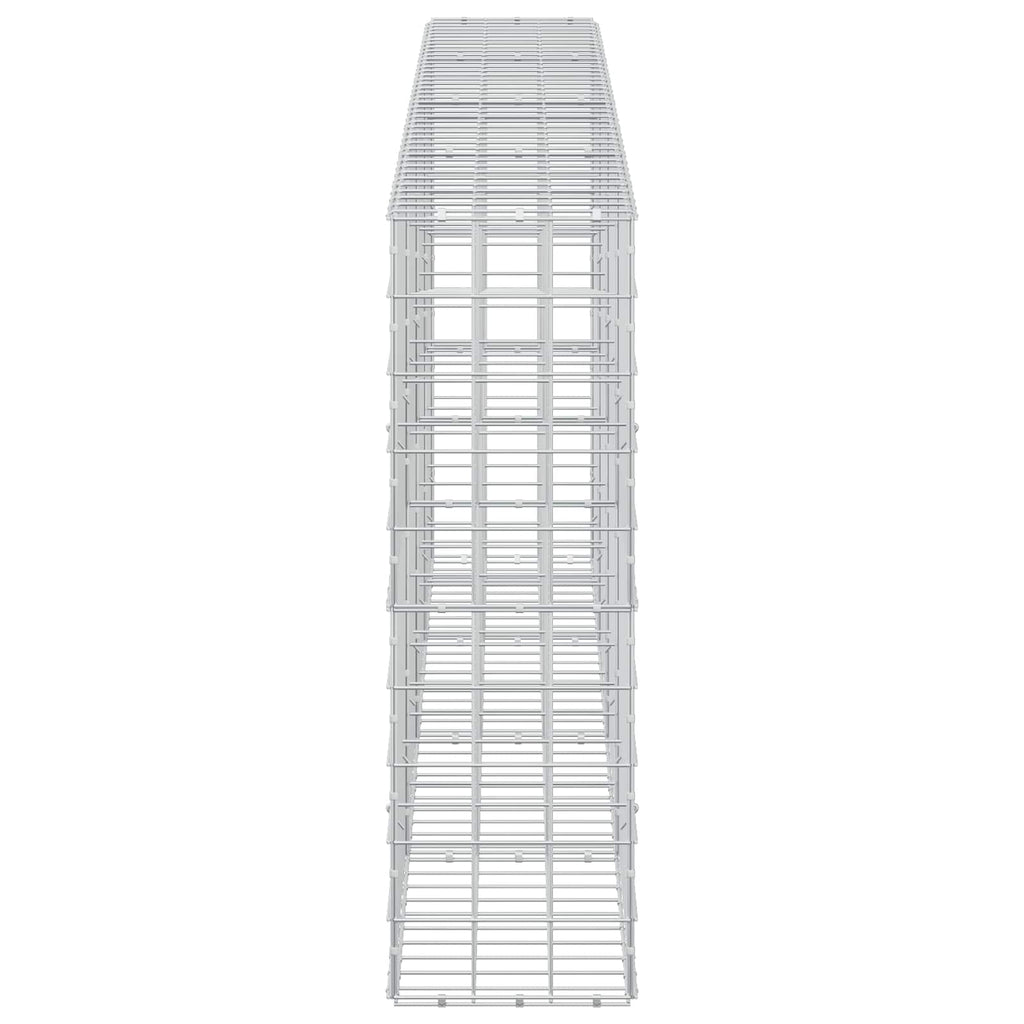 vidaXL Gabion z drutem 5 mm i siatką 10x10 cm 400x30x100 cm