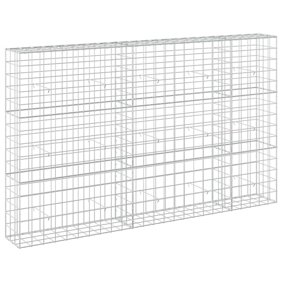 vidaXL Gabion z drutem 5 mm i siatką 10x10 cm 250x30x150 cm