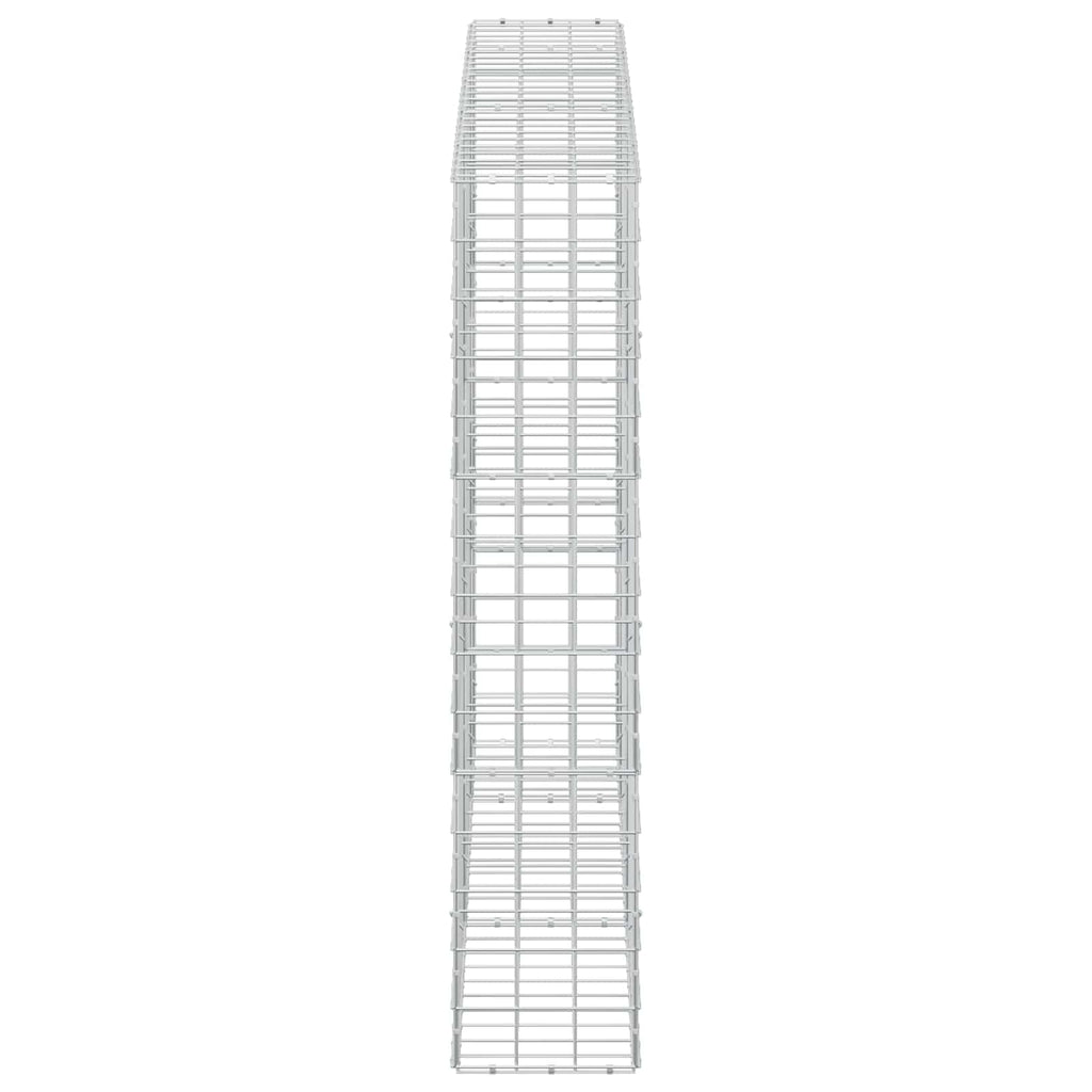vidaXL Gabion z drutem 5 mm i siatką 10x10 cm 250x30x150 cm