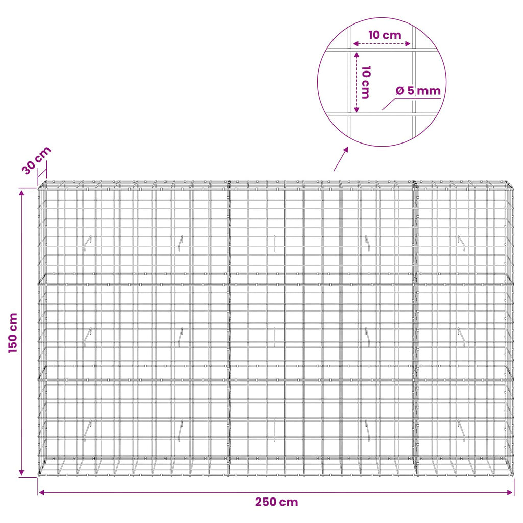 vidaXL Gabion z drutem 5 mm i siatką 10x10 cm 250x30x150 cm