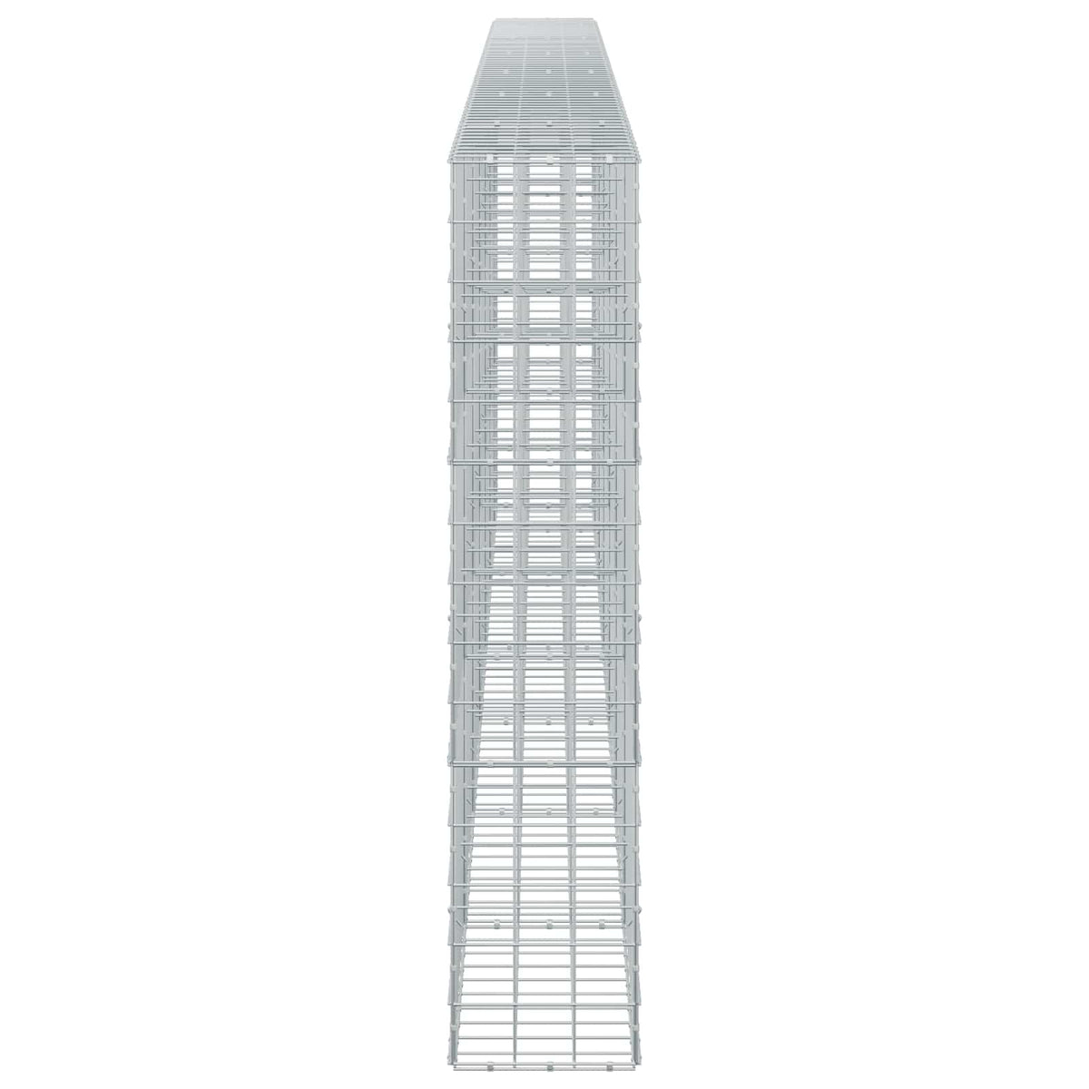 vidaXL Gabion z drutem 5 mm i siatką 10x10 cm 650x30x150 cm