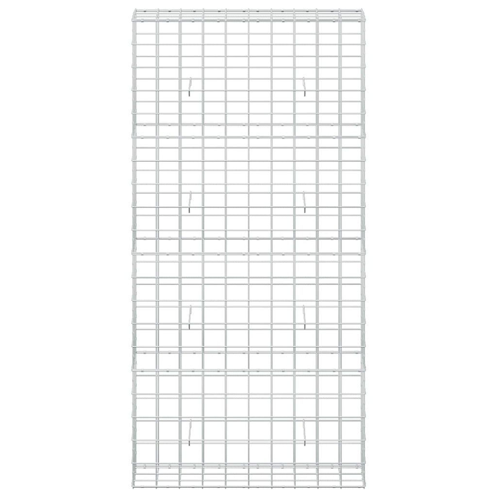 vidaXL Gabion z drutem 5 mm i siatką 10x10 cm 100x30x200 cm