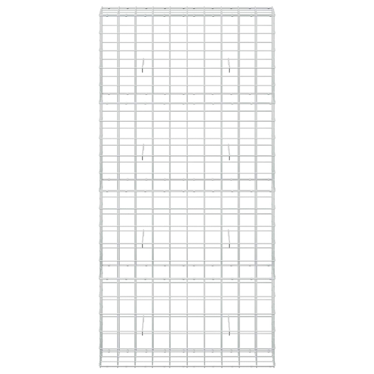 vidaXL Gabion z drutem 5 mm i siatką 10x10 cm 100x30x200 cm