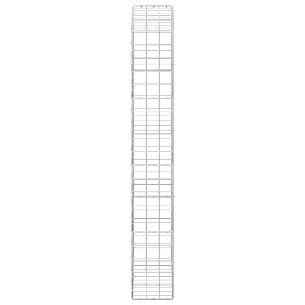 vidaXL Gabion z drutem 5 mm i siatką 10x10 cm 100x30x200 cm