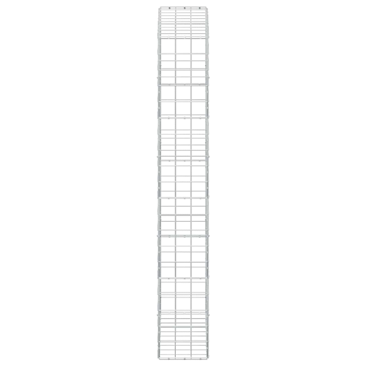 vidaXL Gabion z drutem 5 mm i siatką 10x10 cm 100x30x200 cm