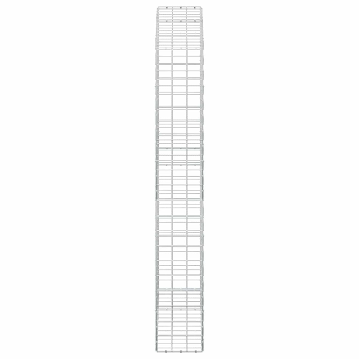 vidaXL Gabion z drutem 5 mm i siatką 10x10 cm 150x30x200 cm
