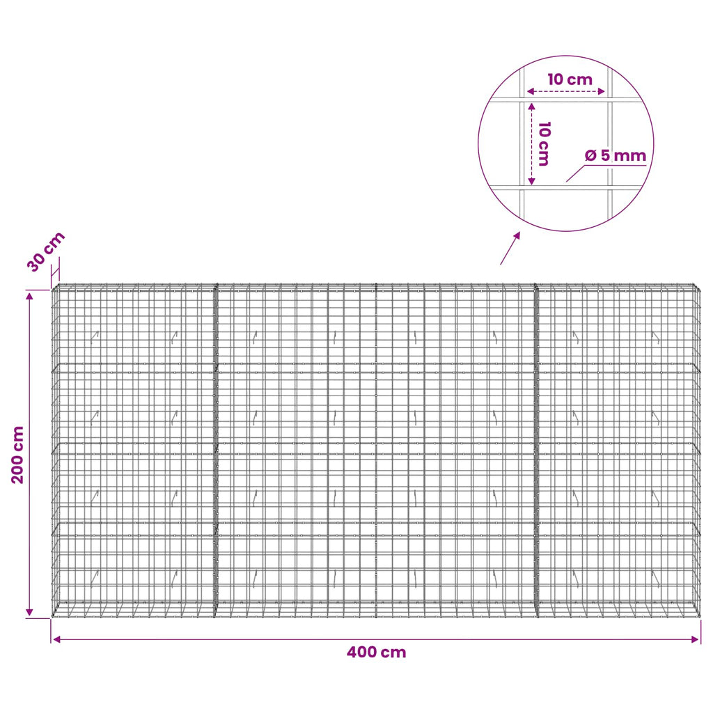 vidaXL Gabion z drutem 5 mm i siatką 10x10 cm 400x30x200 cm