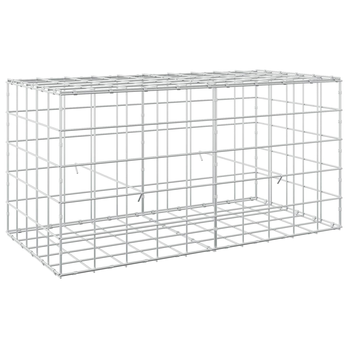 vidaXL Gabion z drutem 5 mm i siatką 10x10 cm 100x50x50 cm