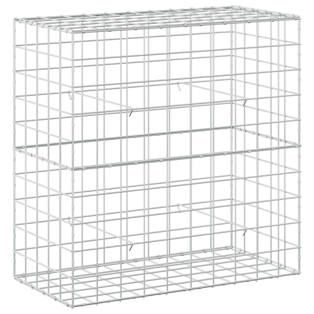 vidaXL Gabion z drutem 5 mm i siatką 10x10 cm 100x50x100 cm