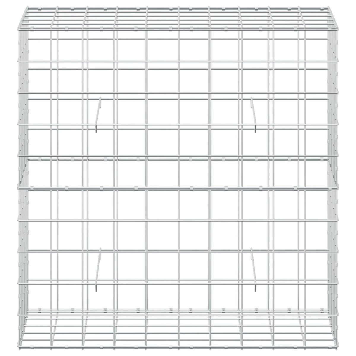 vidaXL Gabion z drutem 5 mm i siatką 10x10 cm 100x50x100 cm