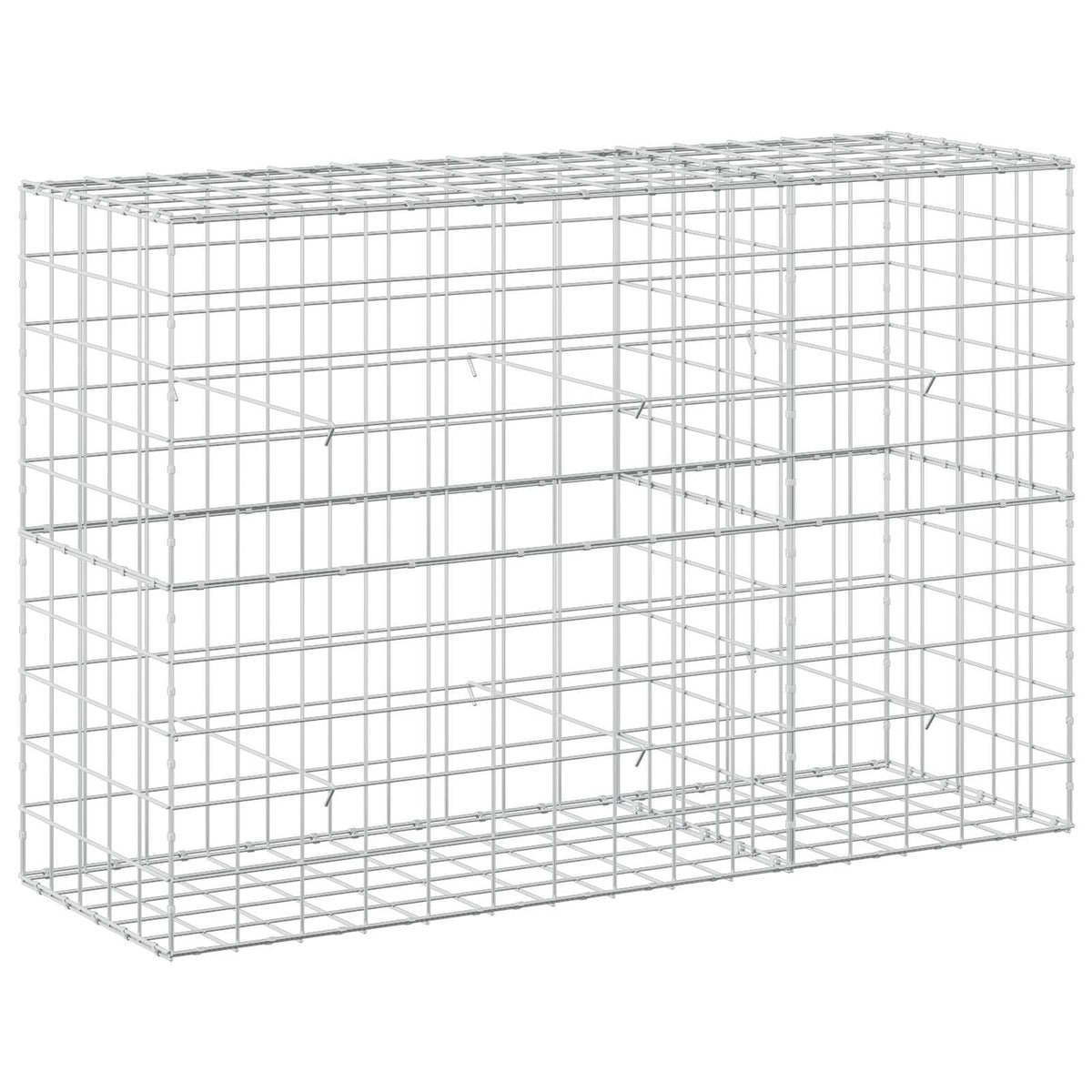 vidaXL Gabion z drutem 5 mm i siatką 10x10 cm 150x50x100 cm
