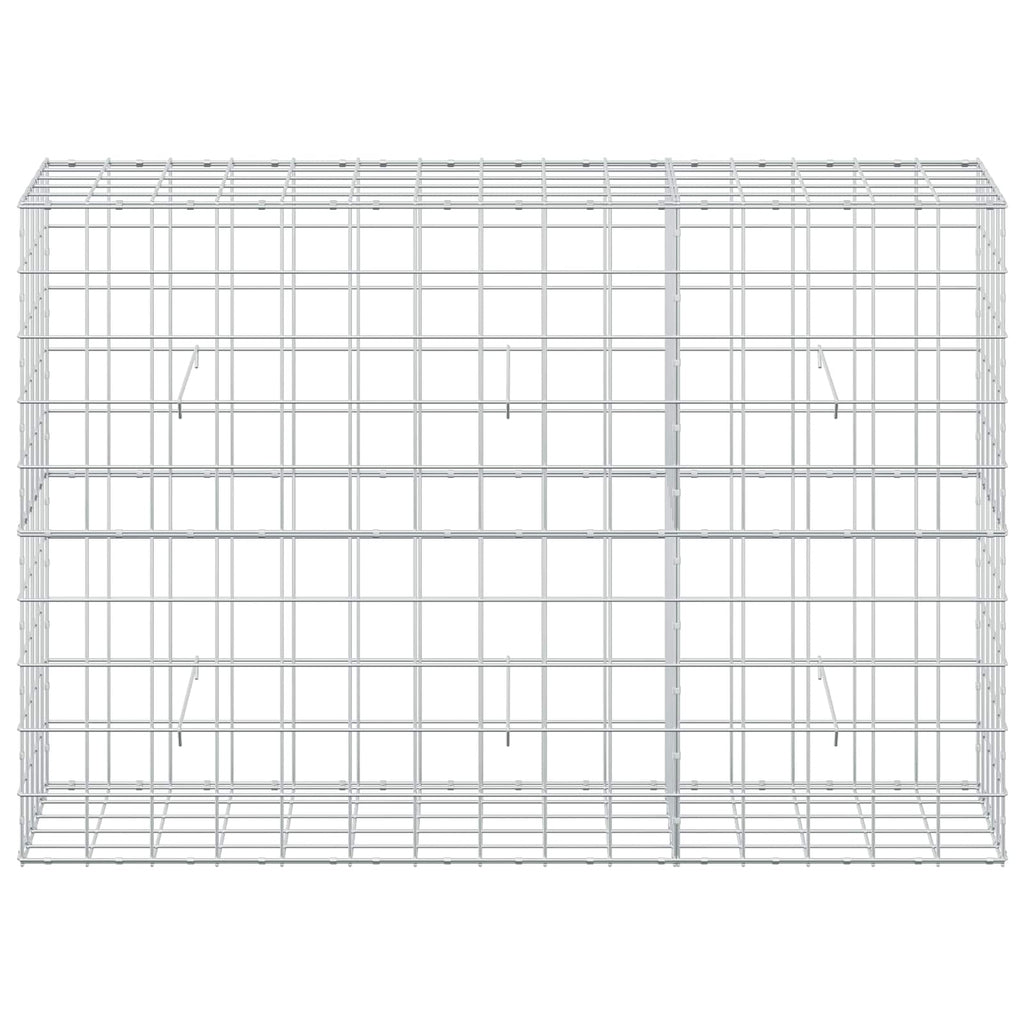 vidaXL Gabion z drutem 5 mm i siatką 10x10 cm 150x50x100 cm