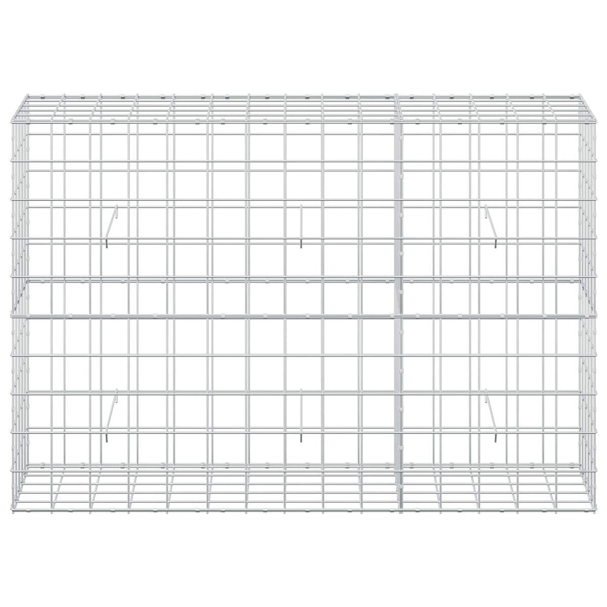 vidaXL Gabion z drutem 5 mm i siatką 10x10 cm 150x50x100 cm