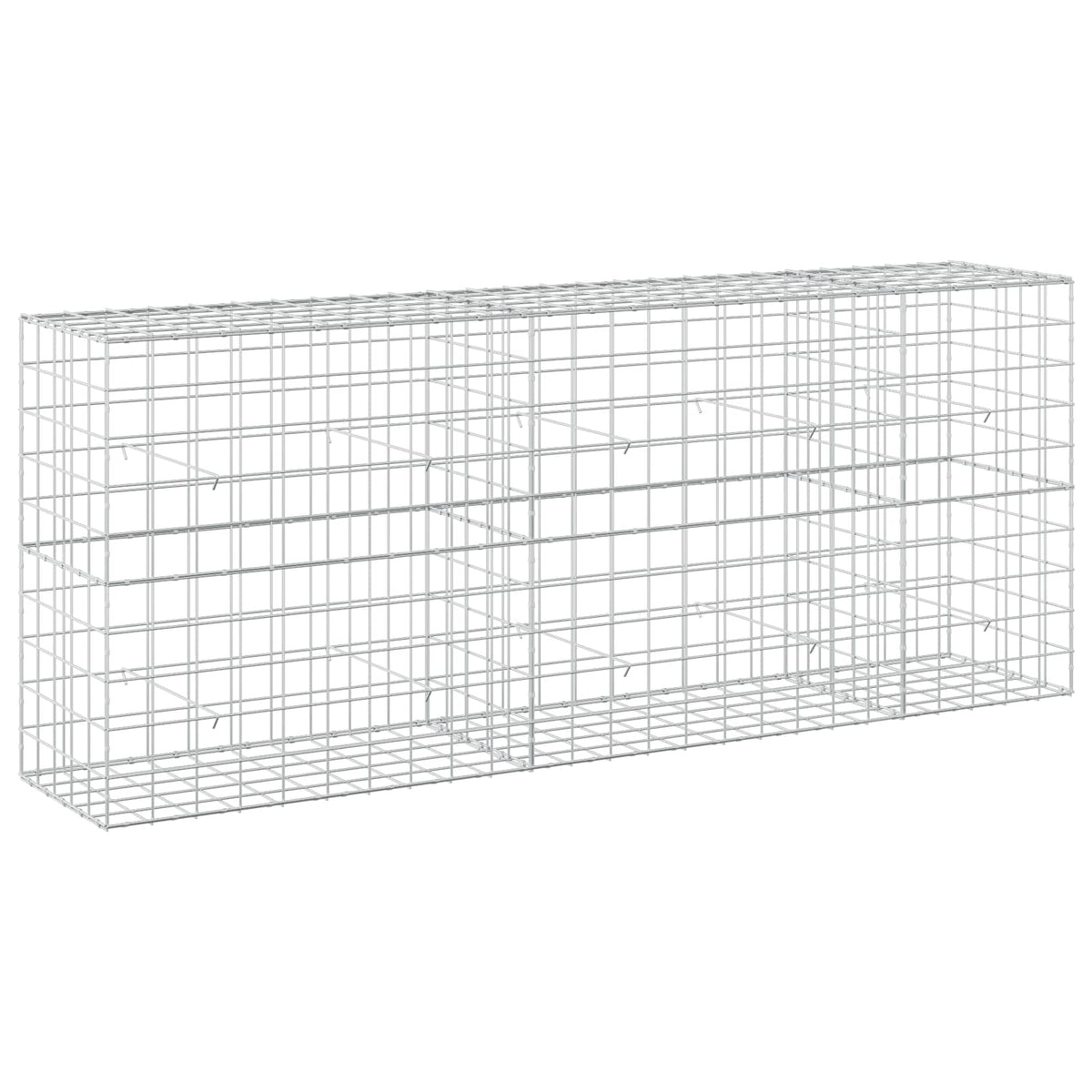 vidaXL Gabion z drutem 5 mm i siatką 10x10 cm 250x50x100 cm