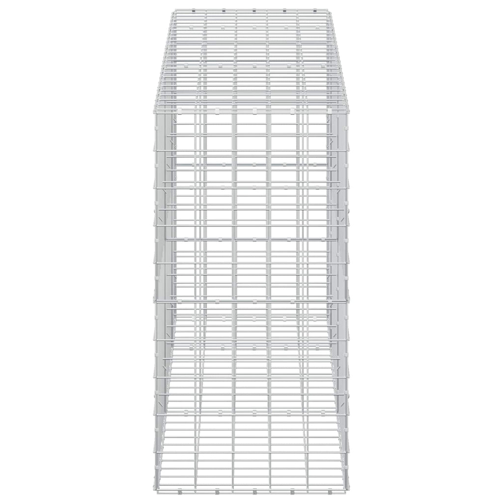 vidaXL Gabion z drutem 5 mm i siatką 10x10 cm 250x50x100 cm