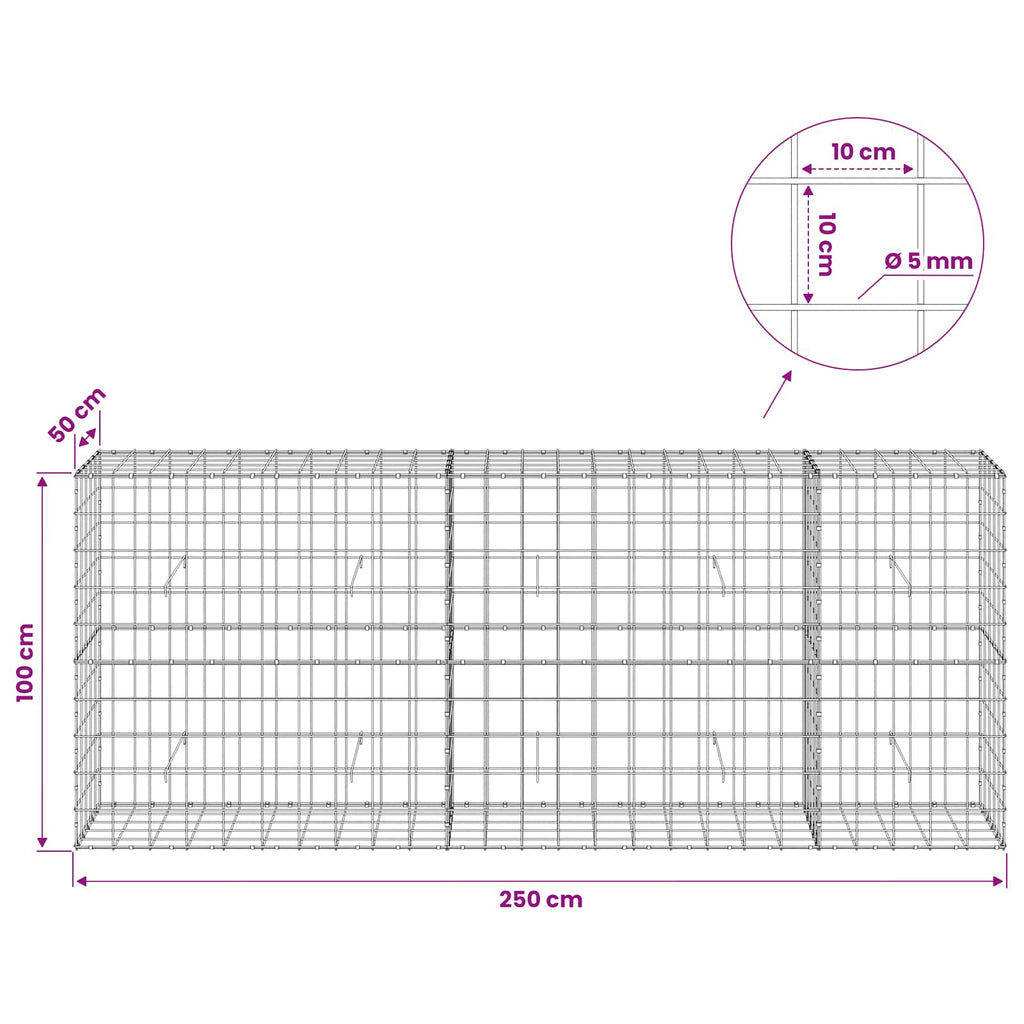 vidaXL Gabion z drutem 5 mm i siatką 10x10 cm 250x50x100 cm