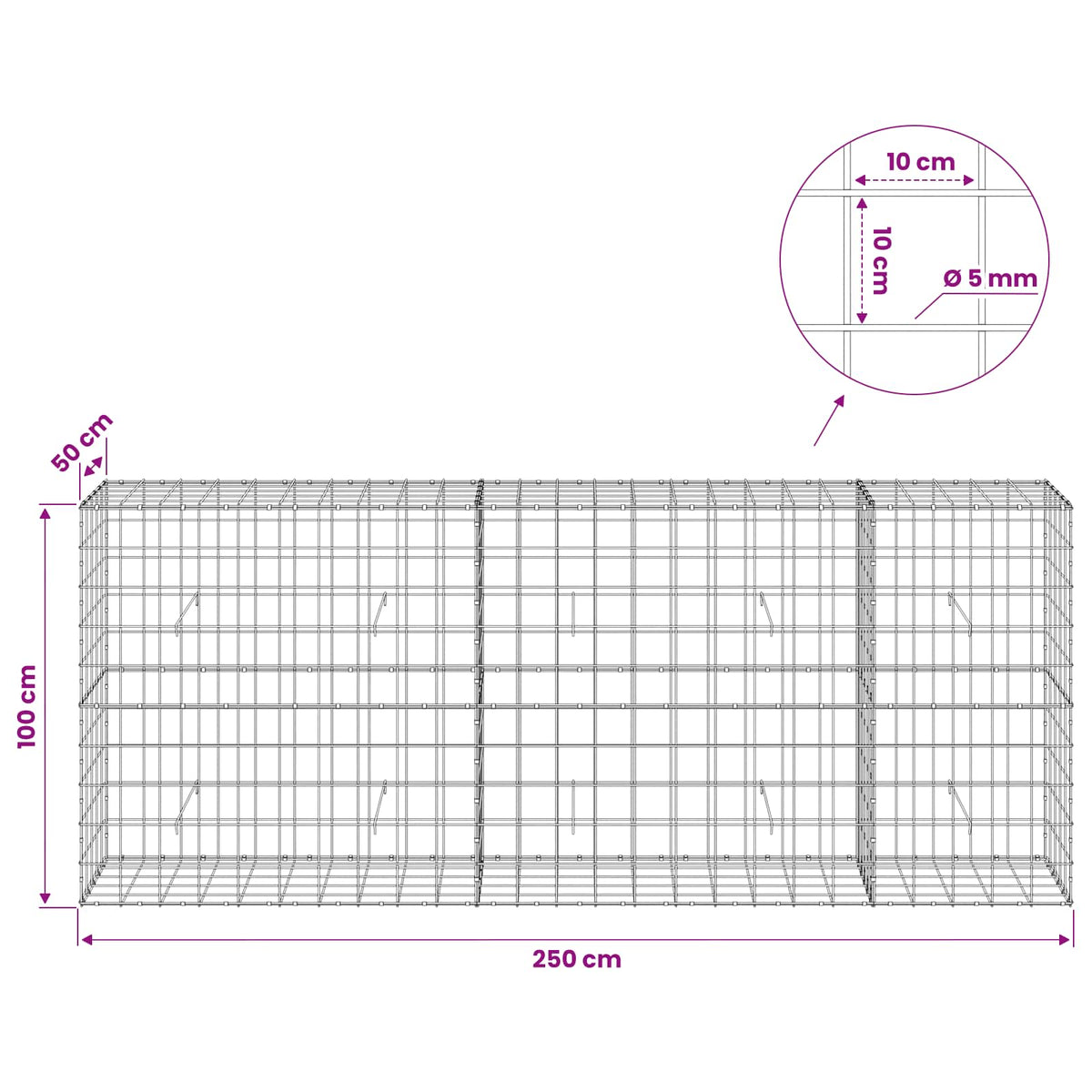 vidaXL Gabion z drutem 5 mm i siatką 10x10 cm 250x50x100 cm