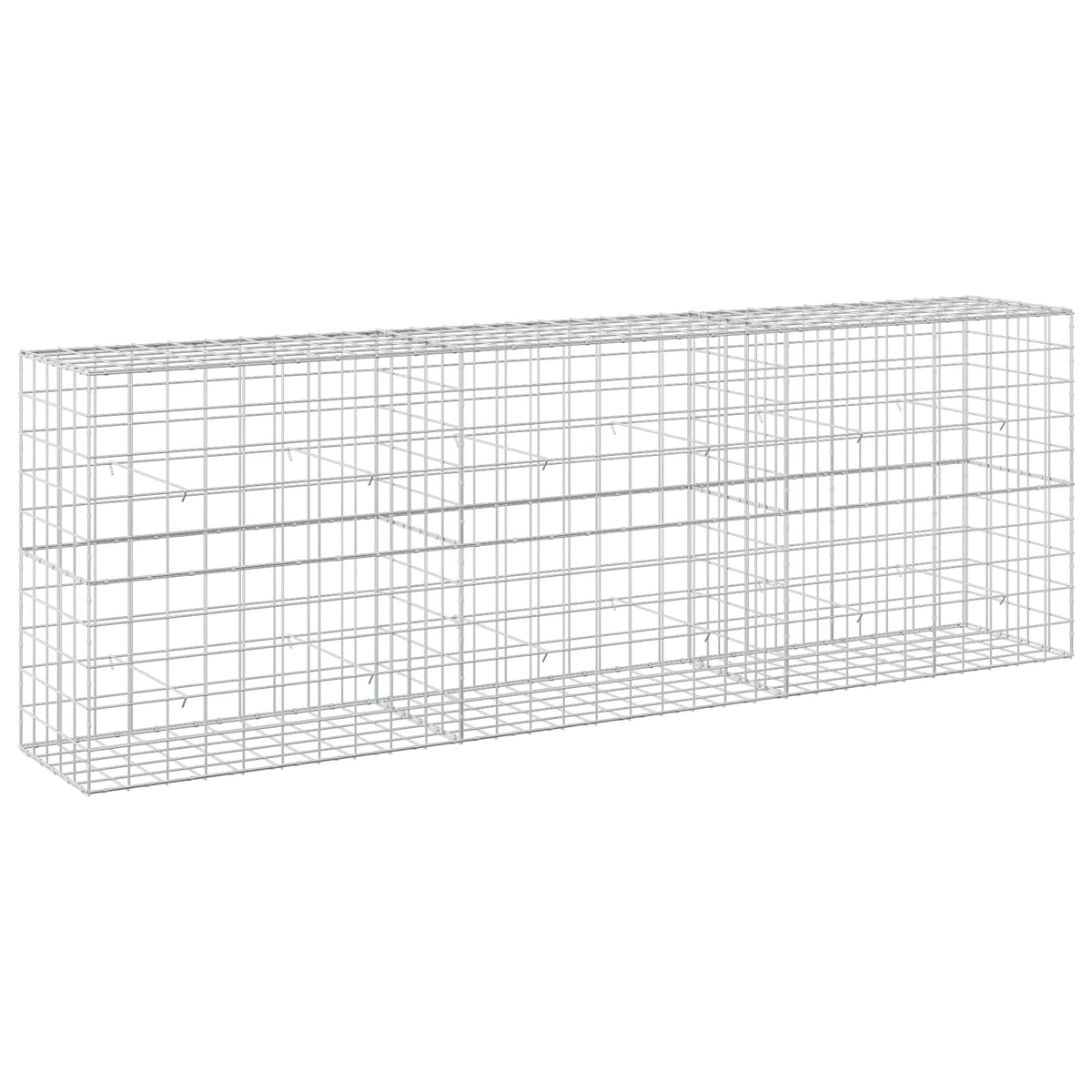 vidaXL Gabion z drutem 5 mm i siatką 10x10 cm 300x50x100 cm