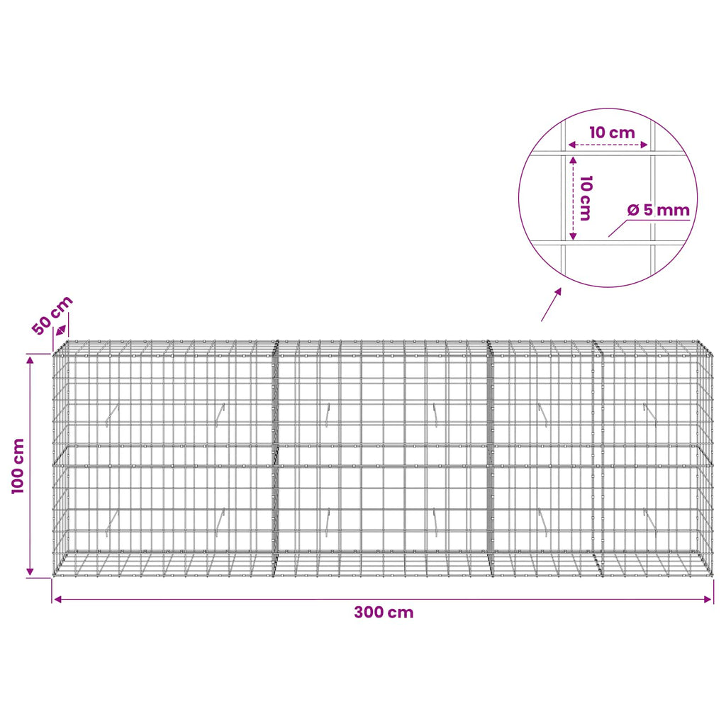 vidaXL Gabion z drutem 5 mm i siatką 10x10 cm 300x50x100 cm