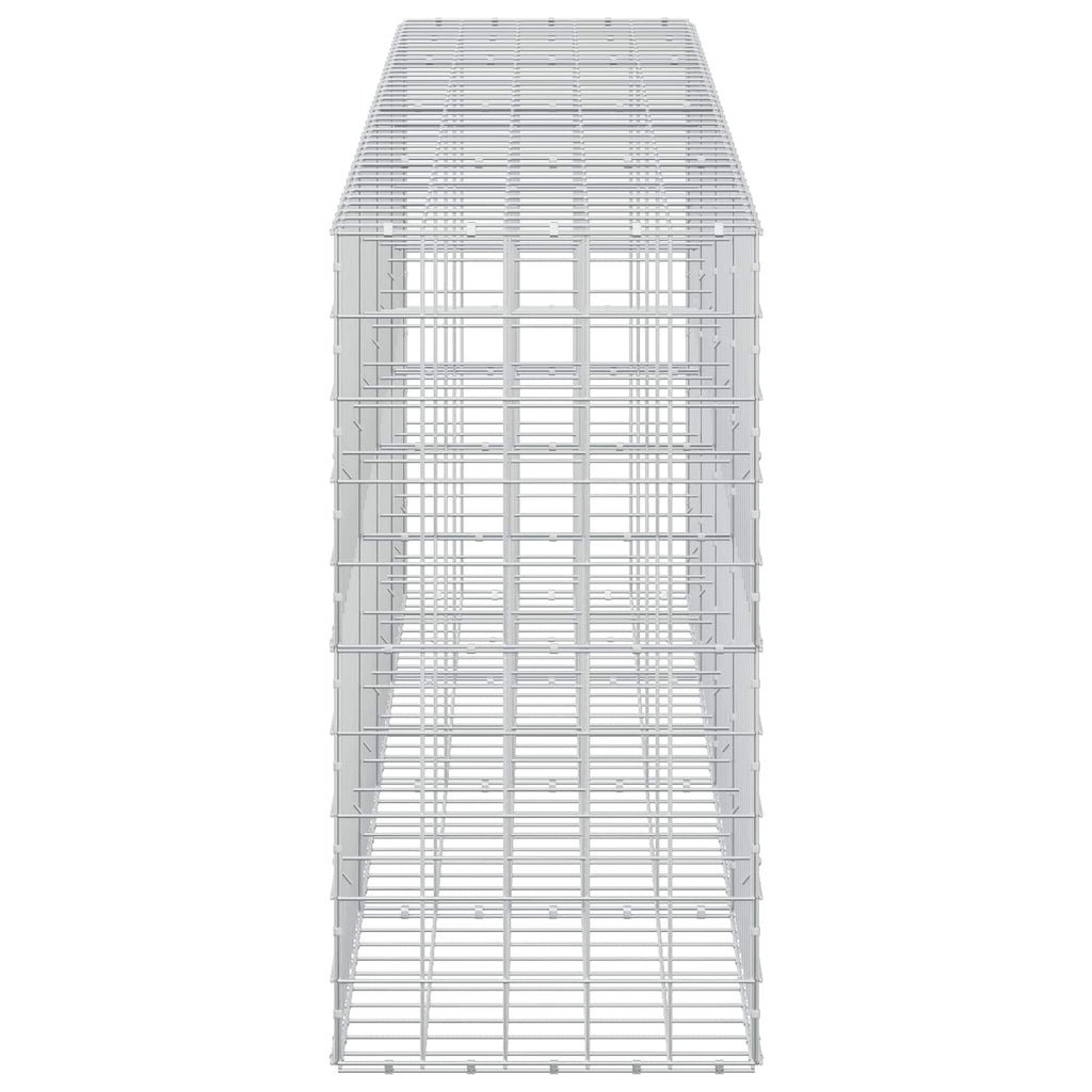 vidaXL Gabion z drutem 5 mm i siatką 10x10 cm 400x50x100 cm
