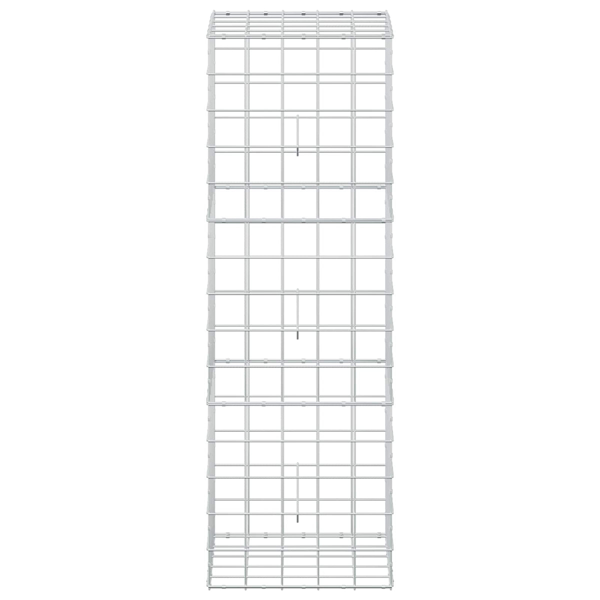 vidaXL Gabion z drutem 5 mm i siatką 10x10 cm 50x50x150 cm