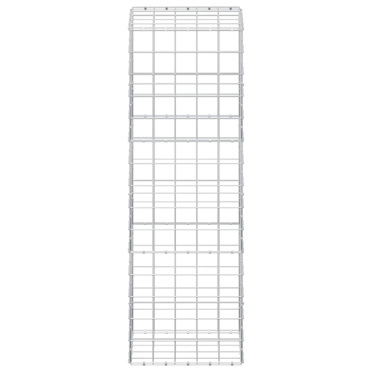 vidaXL Gabion z drutem 5 mm i siatką 10x10 cm 50x50x150 cm