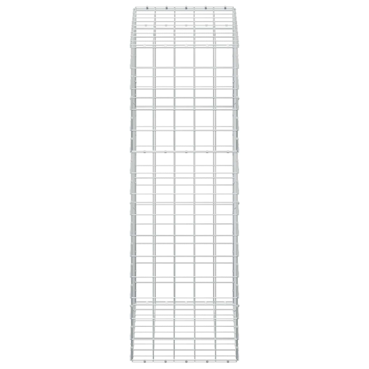 vidaXL Gabion z drutem 5 mm i siatką 10x10 cm 100x50x150 cm