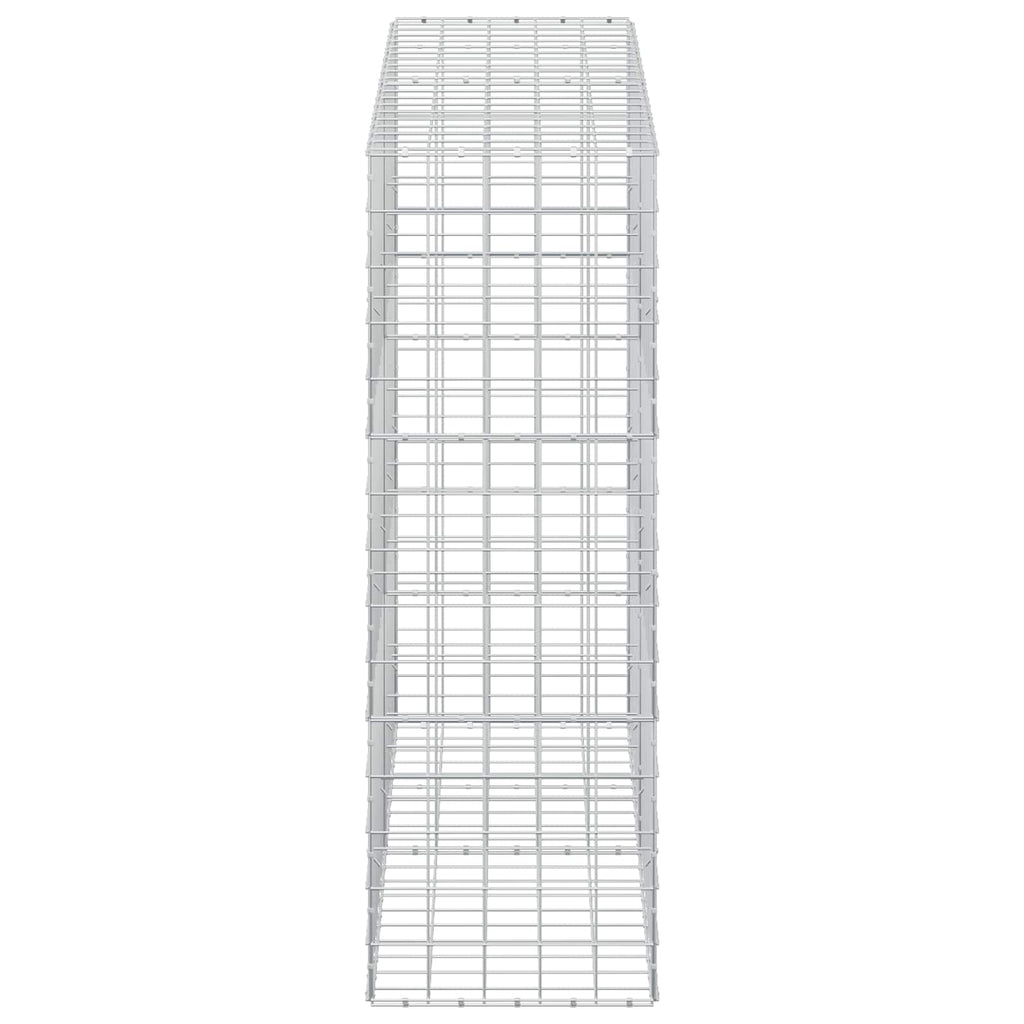 vidaXL Gabion z drutem 5 mm i siatką 10x10 cm 200x50x150 cm