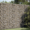 vidaXL Gabion z drutem 5 mm i siatką 10x10 cm 100x50x200 cm