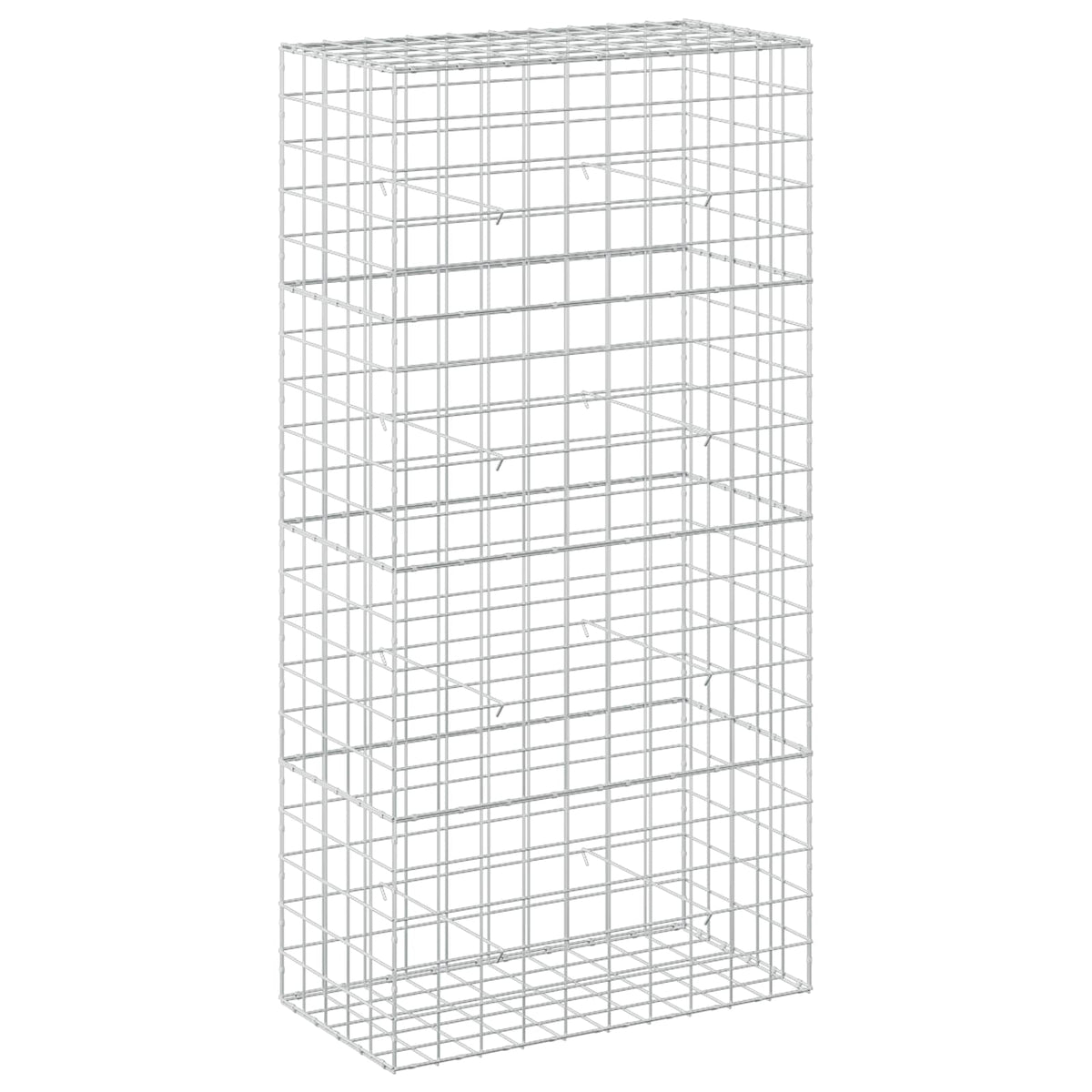 vidaXL Gabion z drutem 5 mm i siatką 10x10 cm 100x50x200 cm