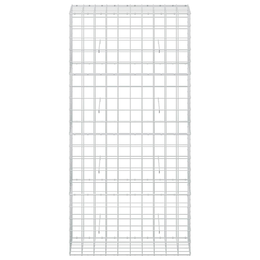 vidaXL Gabion z drutem 5 mm i siatką 10x10 cm 100x50x200 cm
