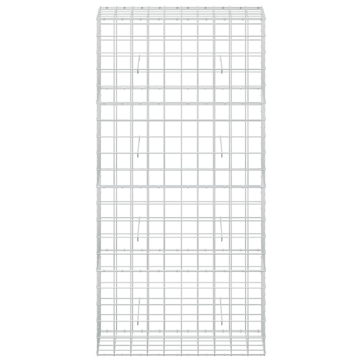 vidaXL Gabion z drutem 5 mm i siatką 10x10 cm 100x50x200 cm