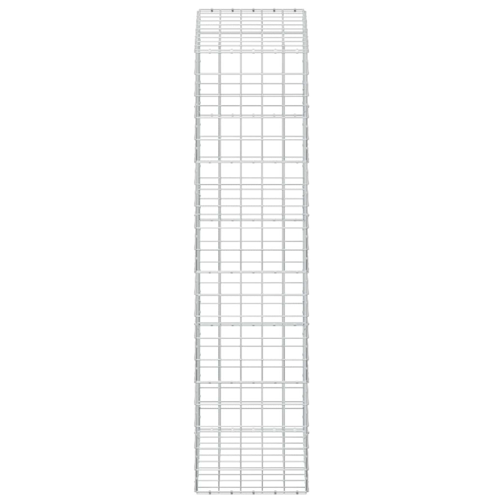 vidaXL Gabion z drutem 5 mm i siatką 10x10 cm 100x50x200 cm
