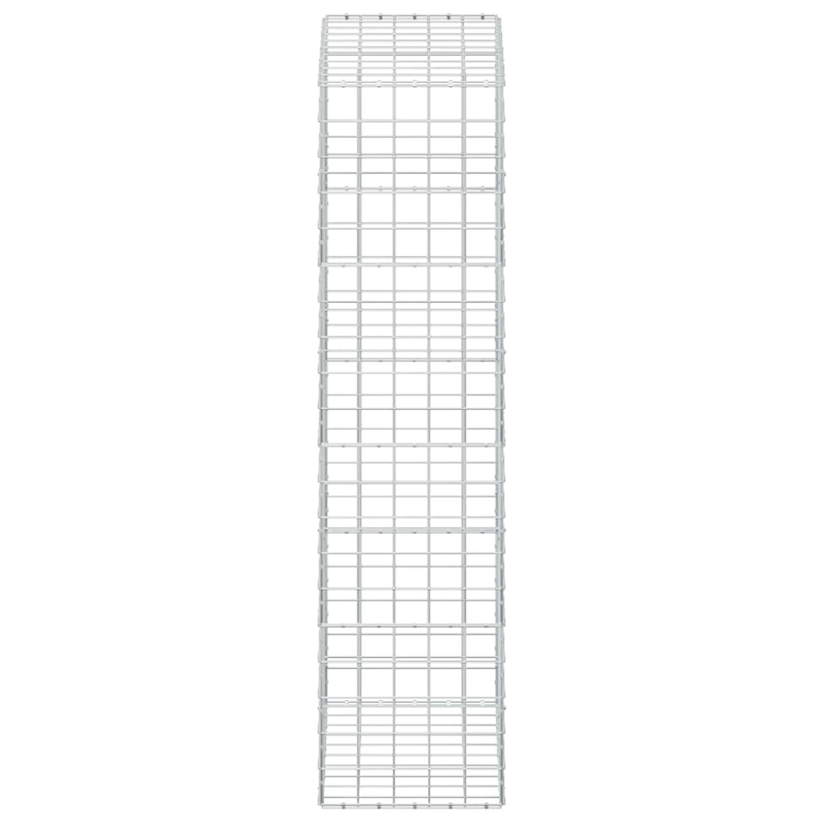 vidaXL Gabion z drutem 5 mm i siatką 10x10 cm 100x50x200 cm