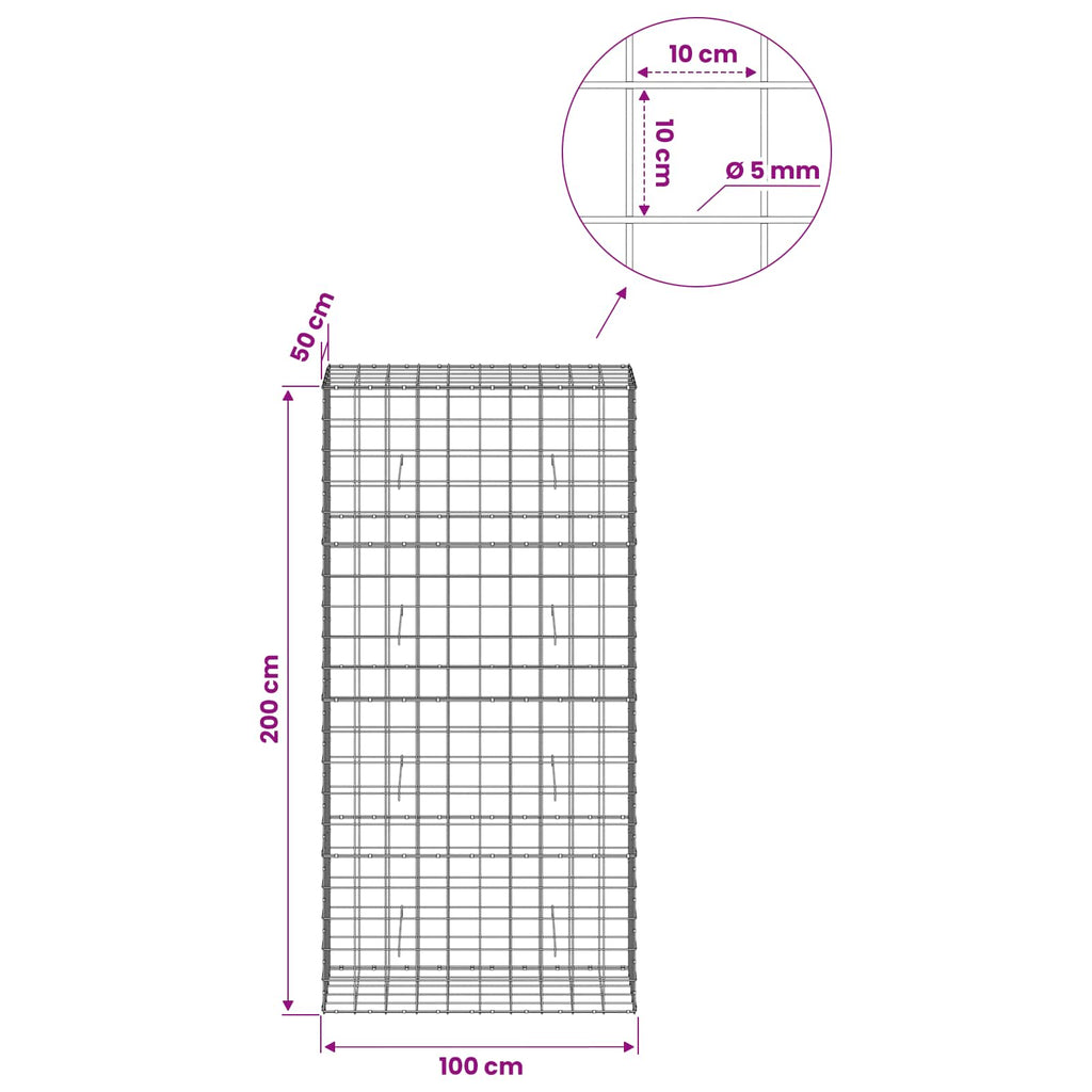 vidaXL Gabion z drutem 5 mm i siatką 10x10 cm 100x50x200 cm