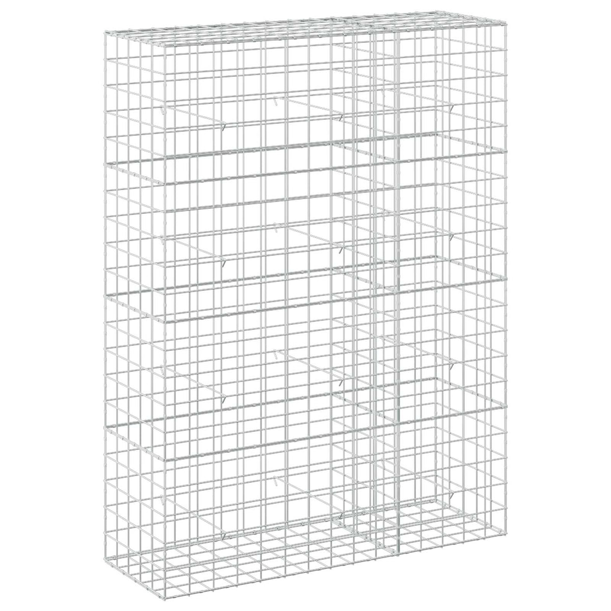 vidaXL Gabion z drutem 5 mm i siatką 10x10 cm 150x50x200 cm