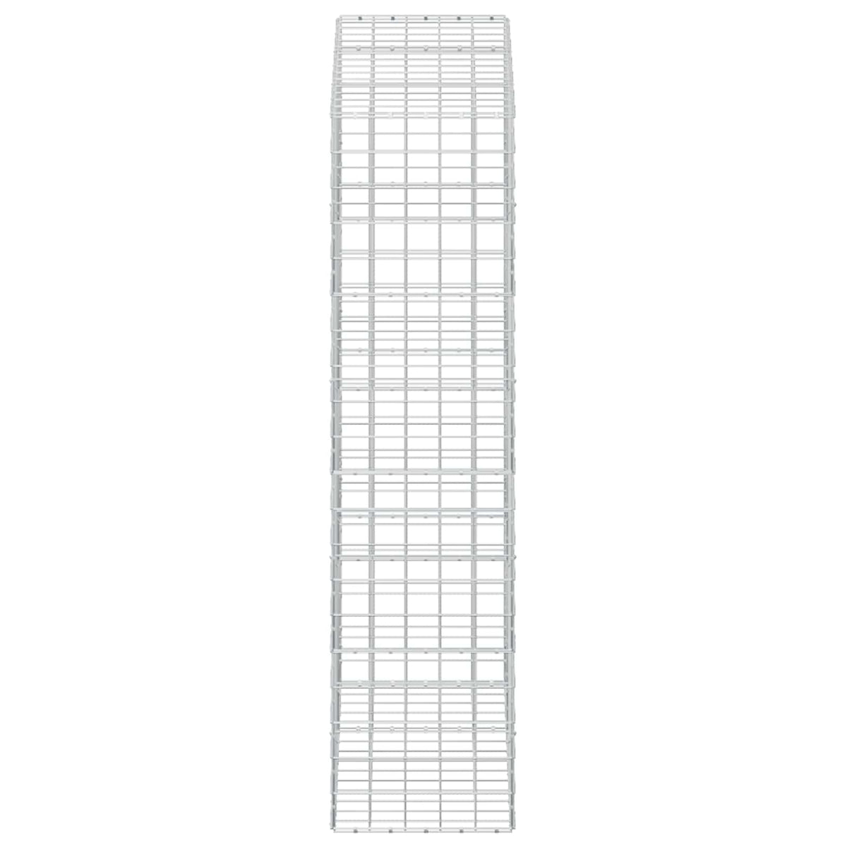 vidaXL Gabion z drutem 5 mm i siatką 10x10 cm 150x50x200 cm