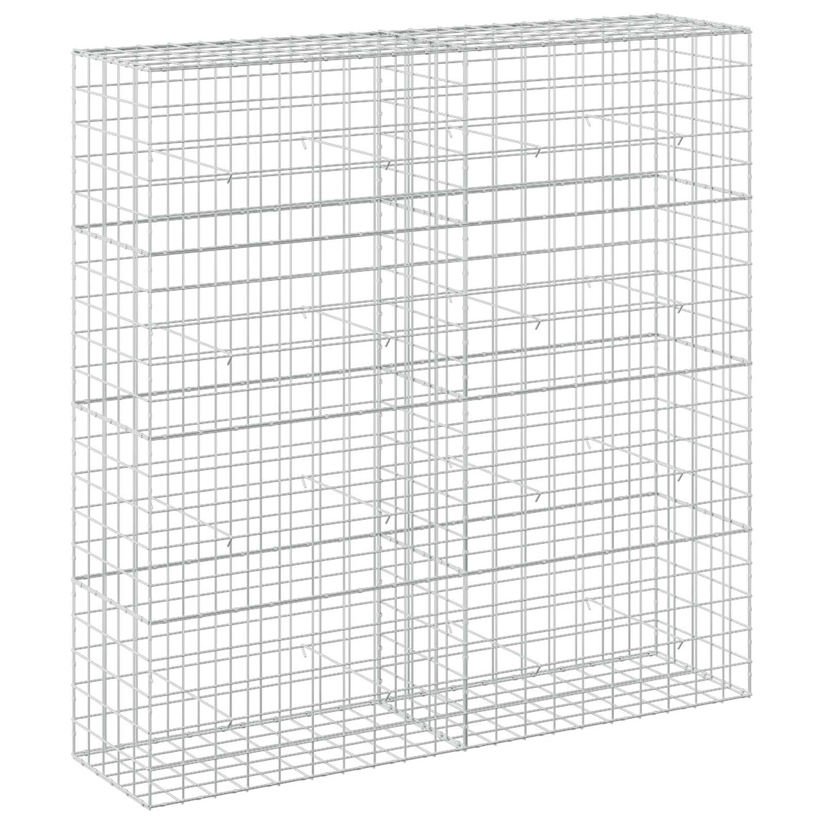vidaXL Gabion z drutem 5 mm i siatką 10x10 cm 200x50x200 cm