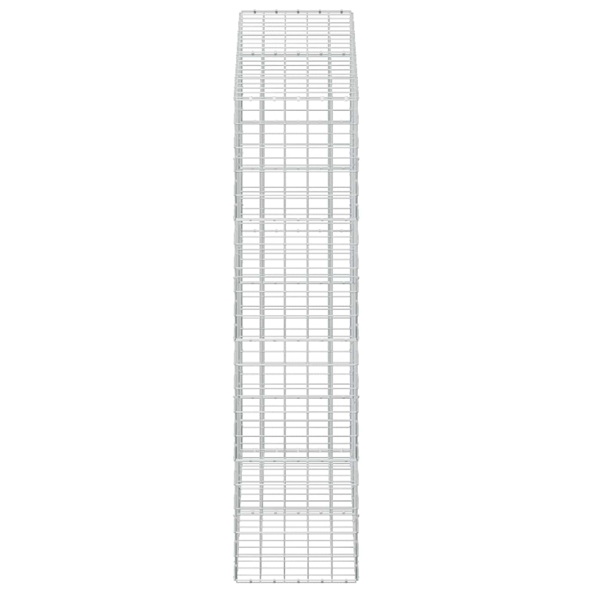 vidaXL Gabion z drutem 5 mm i siatką 10x10 cm 200x50x200 cm