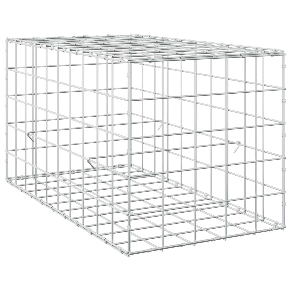 vidaXL Gabion z drutem 5 mm i siatką 10x10 cm 50x100x50 cm