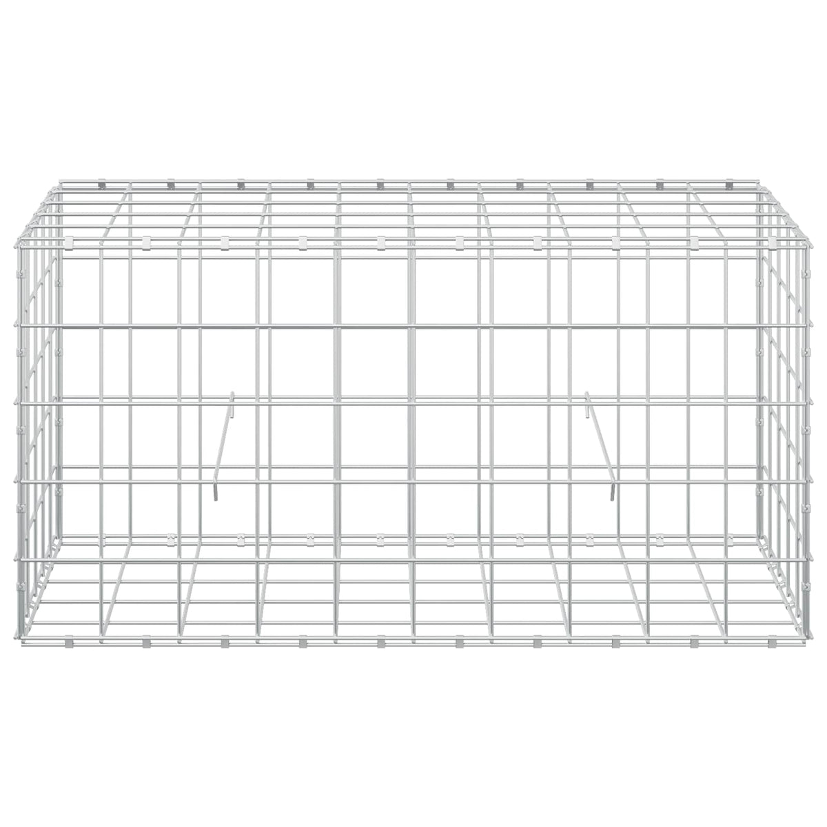 vidaXL Gabion z drutem 5 mm i siatką 10x10 cm 50x100x50 cm