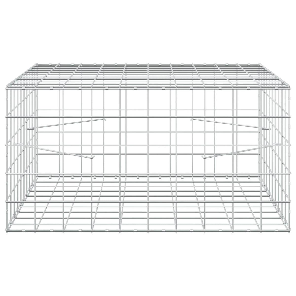 vidaXL Gabion z drutem 5 mm i siatką 10x10 cm 100x100x50 cm