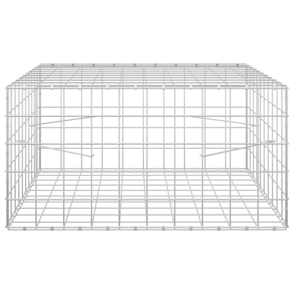 vidaXL Gabion z drutem 5 mm i siatką 10x10 cm 100x100x50 cm