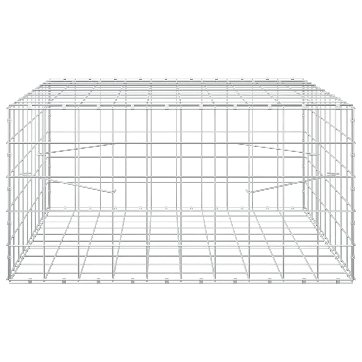 vidaXL Gabion z drutem 5 mm i siatką 10x10 cm 100x100x50 cm