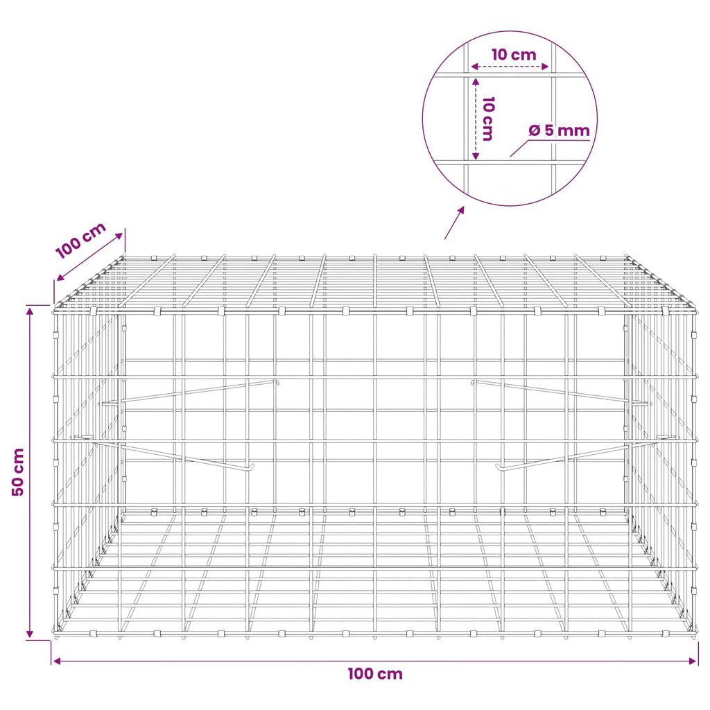vidaXL Gabion z drutem 5 mm i siatką 10x10 cm 100x100x50 cm