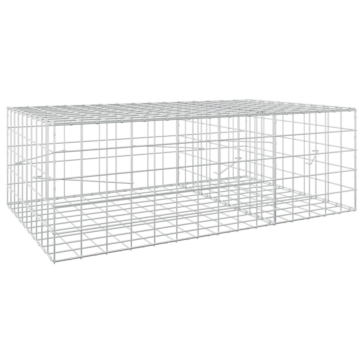 vidaXL Gabion z drutem 5 mm i siatką 10x10 cm 150x100x50 cm